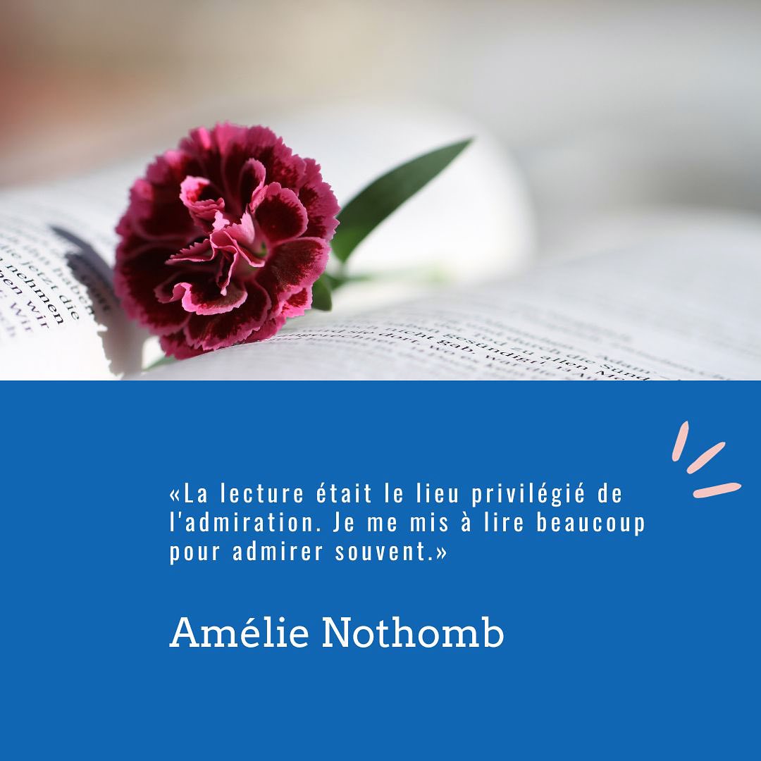 Citation extraite de «Biographie de la faim», d'Amélie Nothomb (2004).
#amelienothomb #citationlecture #bibliothequelaneuveville