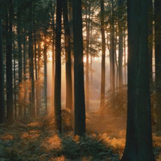 🌳 Conférence à la bibliothèque de La Neuveville 🌿
Le mercredi 29 octobre à 18h30, nous aurons le plaisir d’accueillir Ernst Zürcher, ingénieur forestier, chercheur et auteur passionné, pour une soirée dédiée aux liens entre la santé de la terre et celle de l’homme. 🌎💚
Scientifique atypique et poète de la forêt, Ernst Zürcher nous invite à (re)découvrir les arbres autrement, comme des êtres vivants fascinants, essentiels à l’équilibre du monde.
📅 Mercredi 29 octobre à 18h30
📍 Bibliothèque de La Neuveville
🎟️ Entrée libre
Une rencontre inspirante à ne pas manquer 🌲✨
#LaNeuveville #BibliothèqueLaNeuveville #Conférence #ErnstZürcher #Forêt #Arbres #Nature #Émerveillement #Écologie